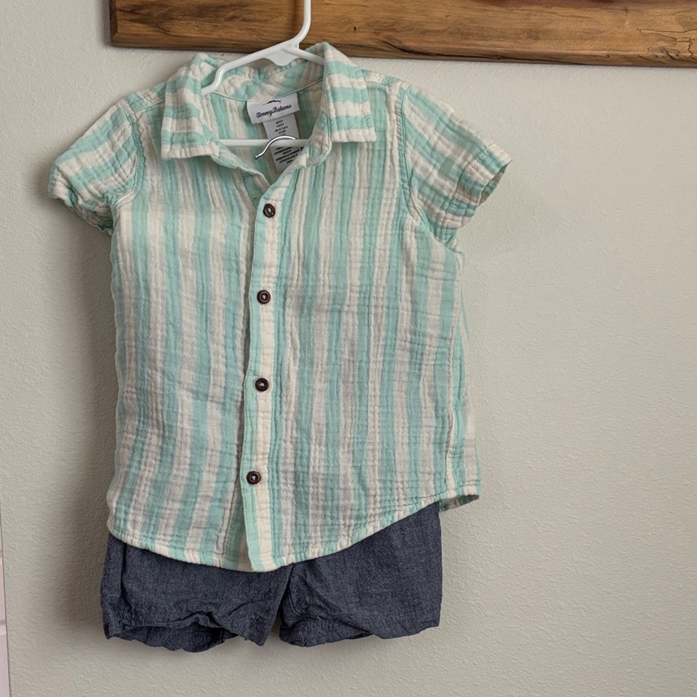 Tommy Bahama Mint and White Striped Button Down Shirt